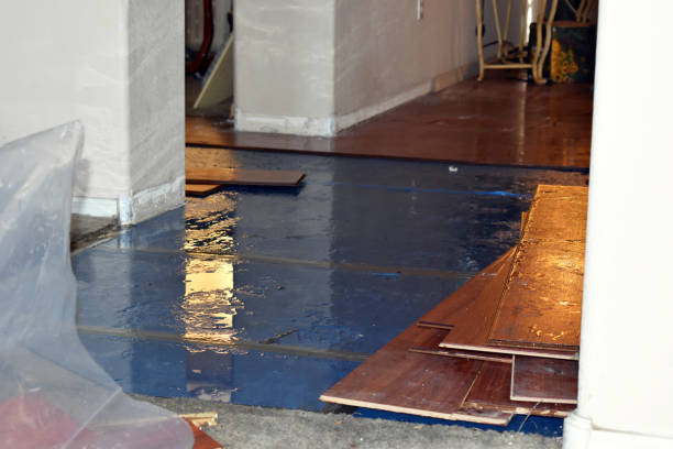 Professional Basement Flood Cleanup technician working in Waterford, MI